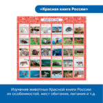 Комплект для группы "Патриотическое воспитание с РобоМышью" Learning Resources MS0084 — изображение 8