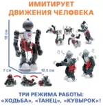Конструктор робототехника "Робот Акробат" EdiToys — изображение 2