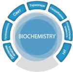 Цифровая лаборатория SenseDisс – Биология и Химия (Biochemistry) — изображение 2
