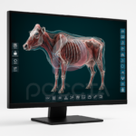 Интерактивное наглядное 3D пособие «Познание: Животноводство и современные корма» — изображение 2