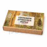 Коллекция «Древесные породы» — изображение 2