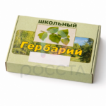 Комплект гербариев раздаточных "Водоросли. Грибы. Лишайники" — изображение 3