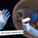 Виртуальный учебный комплекс «Наглядная биология PL-BiologyVR» Базовая, К1 — изображение 4